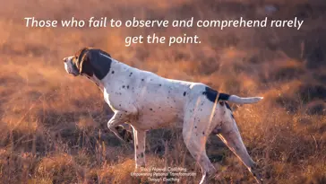 On Point – The Necessity of Observation and Comprehension