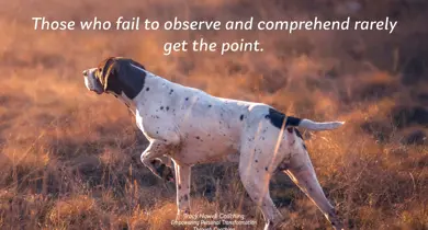 On Point – The Necessity of Observation and Comprehension